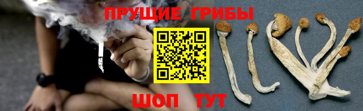 Галлюциногенные грибы ЛСД  Вход с VPN  Галлюциногенные грибы Cubensis  Долгопрудный 